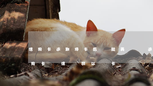 信用卡逾期停卡后還能再開嗎(逾期封卡的信用卡還清還可以開卡嗎?)