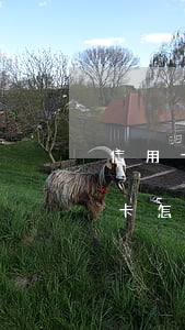 信用卡逾期停卡后销卡(信用卡逾期停卡后销卡怎么处理)