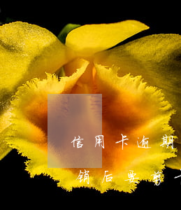 信用卡逾期停卡客服说剪卡(为什么信用卡注销后要剪卡)