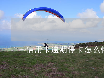 信用卡逾期停卡怎么恢復(fù)