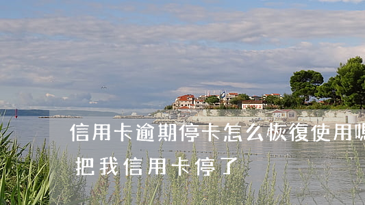 信用卡逾期?？ㄔ趺椿謴褪褂脝?沒逾期銀行把我信用卡停了)