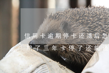 信用卡逾期停卡还清后怎么复卡(我信用卡逾期了三年 卡停了 还能还钱吗)