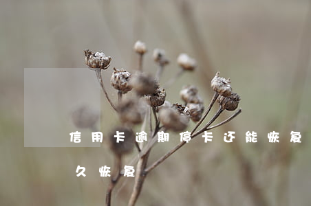 信用卡逾期停卡还能恢复吗(逾期停卡征信多久恢复)