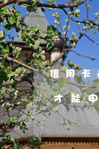 信用卡逾期停息分期政策(停息分期必須逾期才能申請嗎)
