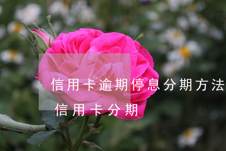 信用卡逾期停息分期方法廣發(fā)-欠信用卡分期