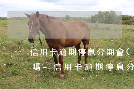 信用卡逾期停息分期會(huì)影響征信嗎-信用卡逾期停息分期會(huì)影響征信嗎