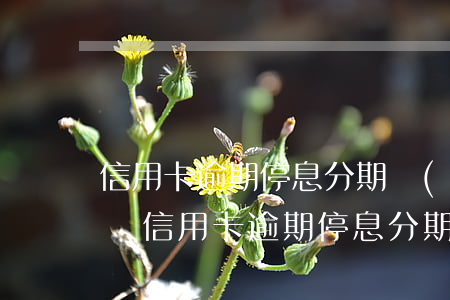 信用卡逾期停息分期會(huì)影響征信嗎(信用卡逾期停息分期會(huì)影響征信嗎花唄)