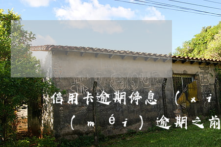信用卡逾期停息協(xié)商分期(信用卡沒(méi)逾期之前能協(xié)商停息分期嗎)
