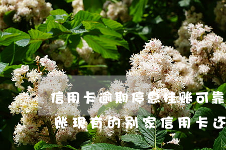 信用卡逾期停息挂账可靠吗上海(申请停息挂账现有的别家信用卡还可以用吗)