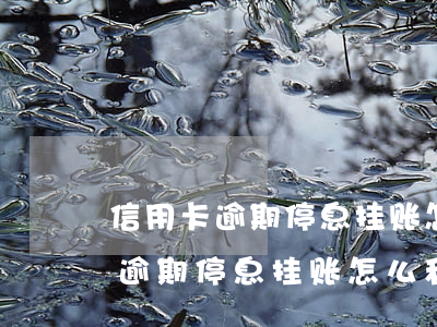 信用卡逾期停息挂账怎么和银行谈-信用卡逾期停息挂账怎么和银行谈利息