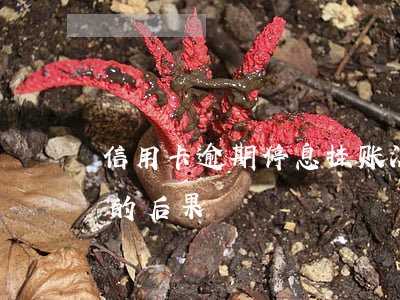 信用卡逾期停息挂账没成功 逾期后停息挂账的后果