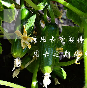 信用卡逾期停息挂账网贷逾期征信修复-信用卡逾期停息挂账网贷逾期征信修复有影响吗