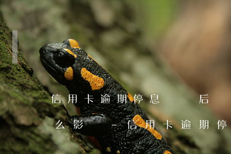 信用卡逾期停息掛帳后會(huì)造成什么影響-信用卡逾期停息掛帳后會(huì)造成什么影響呢
