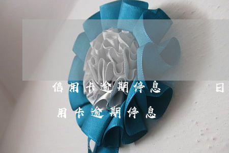 信用卡逾期停息掛帳對日后有什么影響沒?（信用卡逾期停息掛帳）