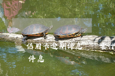 信用卡逾期停息掛帳要什么手繼-欠信用卡停息掛賬