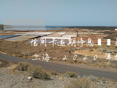 信用卡逾期停息掛賬如何申請(qǐng)上海-2020年信用卡停息掛賬申請(qǐng)辦法