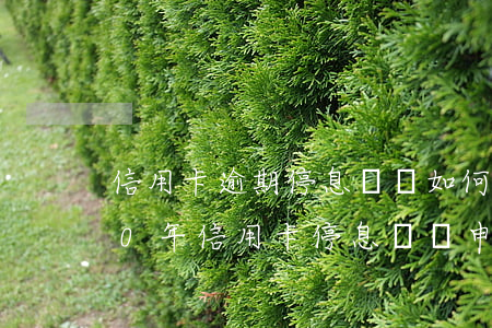 信用卡逾期停息掛賬如何申請華夏-2020年信用卡停息掛賬申請辦法