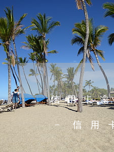 信用卡逾期停息掛賬怎么申請興業(yè)-信用卡逾期停息掛賬怎么申請興業(yè)貸款