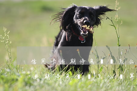 信用卡逾期停息掛賬怎么計算利息-信用卡逾期停息掛賬怎么計算利息的