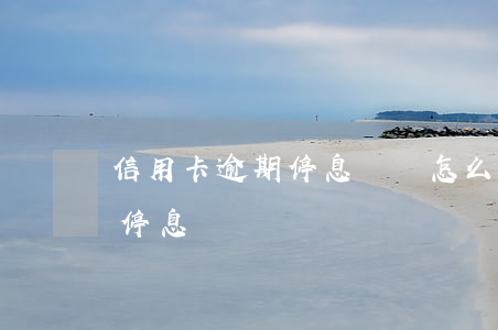 信用卡逾期停息掛賬怎么辦理（信用卡逾期辦停息掛賬）