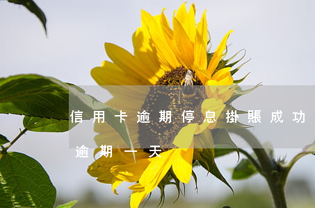 信用卡逾期停息掛賬成功的視頻-停息掛賬逾期一天