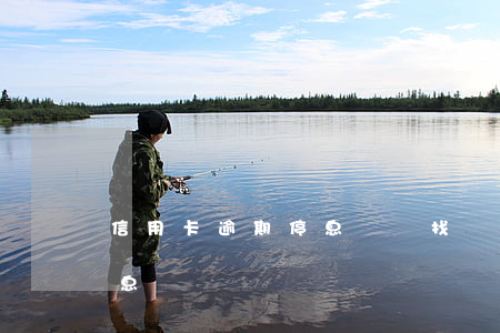 信用卡逾期停息掛賬找誰(信用卡逾期辦理停息掛賬)