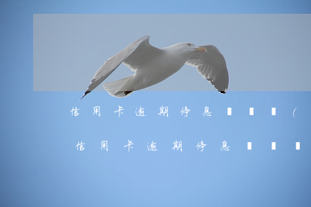 信用卡逾期停息掛賬業(yè)務(wù)(信用卡逾期停息掛賬業(yè)務(wù)PPT)