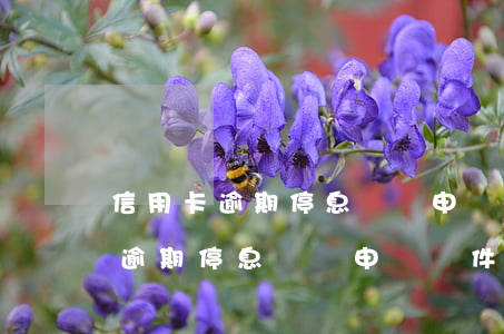 信用卡逾期停息掛賬申請條件銀行-信用卡逾期停息掛賬申請條件銀行怎么寫