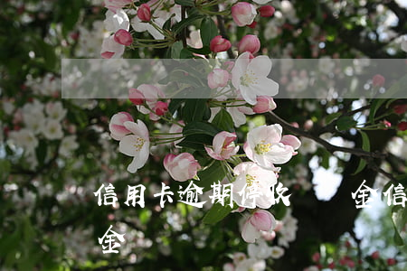 信用卡逾期停收違約金(信用卡逾期停收違約金)