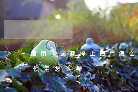 信用卡逾期停止使用怎么辦(信用卡逾期停止使用怎么辦)