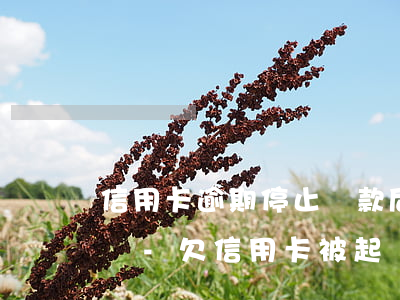信用卡逾期停止還款后還會(huì)起訴嗎-欠信用卡被起訴后還款會(huì)馬上撤訴嗎