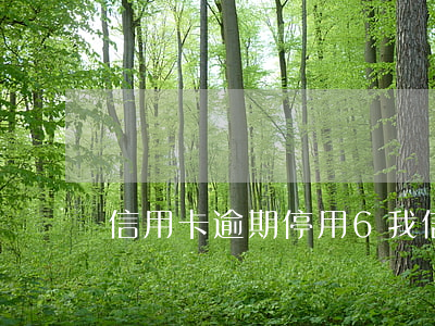 信用卡逾期停用6(我信用卡逾期现已停卡)