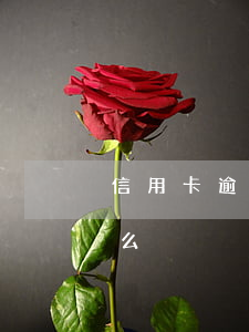 信用卡逾期停用上征信嗎(信用卡逾期上征信么)