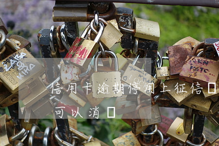 信用卡逾期停用上征信嗎(征信上信用卡逾期可以消嗎)