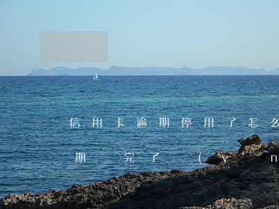 信用卡逾期停用了怎么還款(停用的信用卡逾期還完了應(yīng)該注銷嗎)