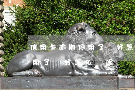 信用卡逾期停用了積分怎么辦(信用卡逾期停用了積分怎么辦呢)