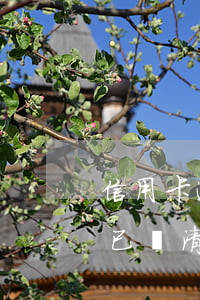 信用卡逾期停用了能補(bǔ)辦嗎(有逾期已還清可以辦信用卡嗎)
