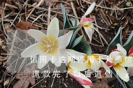 信用卡逾期停用卡片-信用卡逾期停用卡片,還款完了以后,這個(gè)卡還能用嗎