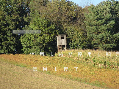 信用卡逾期停用卡顯示正常(沒逾期銀行把我信用卡停了)