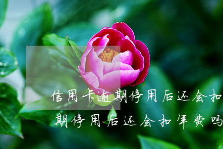 信用卡逾期停用后还会扣年费吗-信用卡逾期停用后还会扣年费吗怎么办