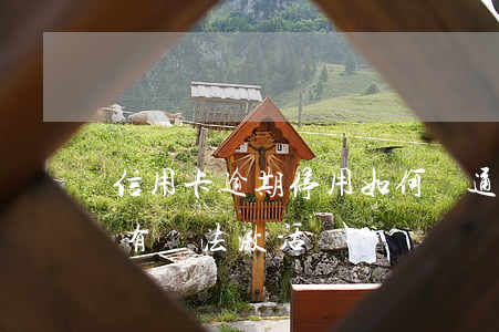 信用卡逾期停用如何開通(逾期停用的信用卡有辦法激活嗎)