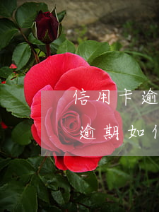 信用卡逾期停用怎么協(xié)商(信用卡逾期如何協(xié)商)