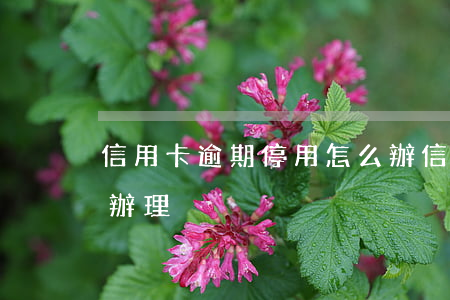 信用卡逾期停用怎么辦(信用卡逾期停用怎么辦理)