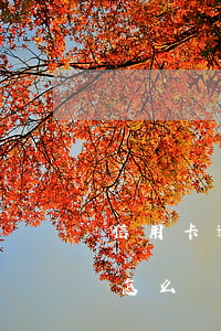 信用卡逾期停用怎么還利息（信用卡逾期停用怎么還）