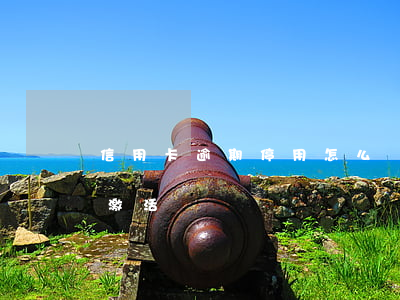 信用卡逾期停用怎么開通(信用逾期停卡可以激活)