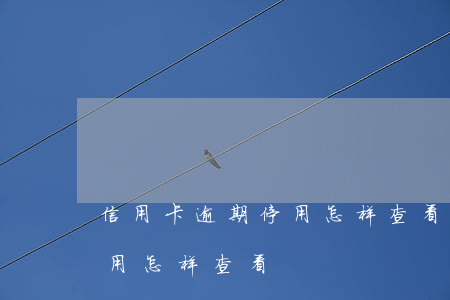 信用卡逾期停用怎样查看进度（信用卡逾期停用怎样查看）