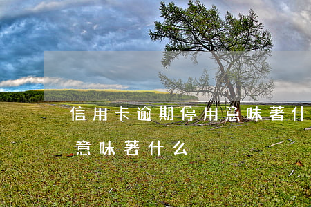 信用卡逾期停用意味著什么(信用卡逾期停用意味著什么)