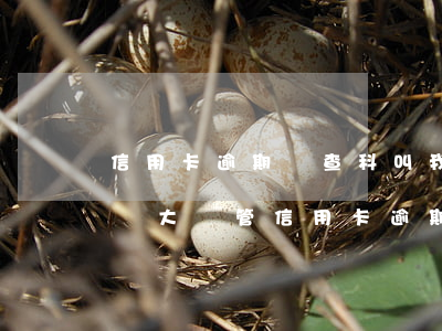 信用卡逾期偵查科叫我過去(經(jīng)偵大隊管信用卡逾期嗎)