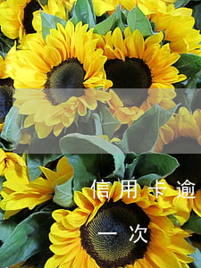 信用卡逾期偶爾一次可以嗎（信用卡逾期偶爾一次）