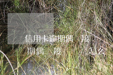信用卡逾期偶爾接電話會怎么樣-信用卡逾期偶爾接電話會怎么樣嗎